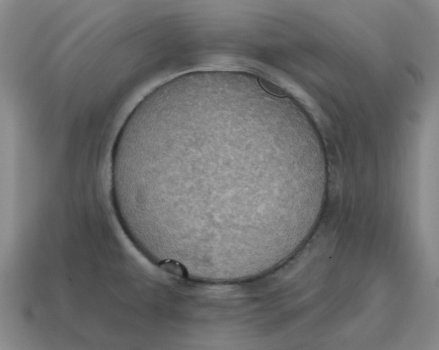 X0000114421479200911061612