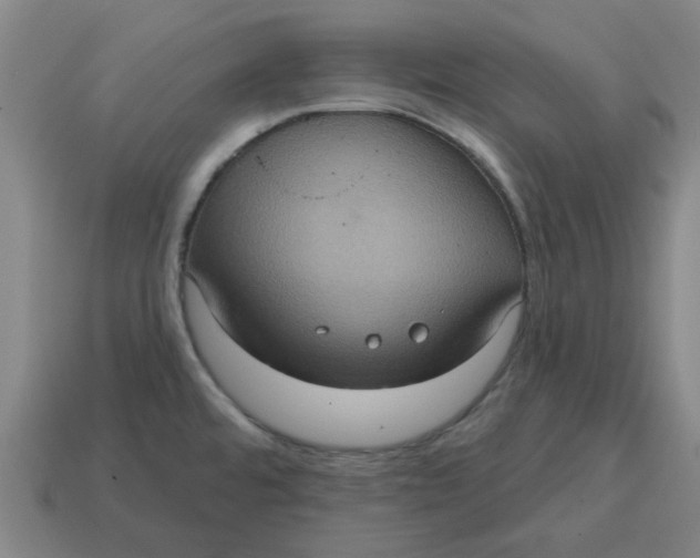 X0000114421480200911061612