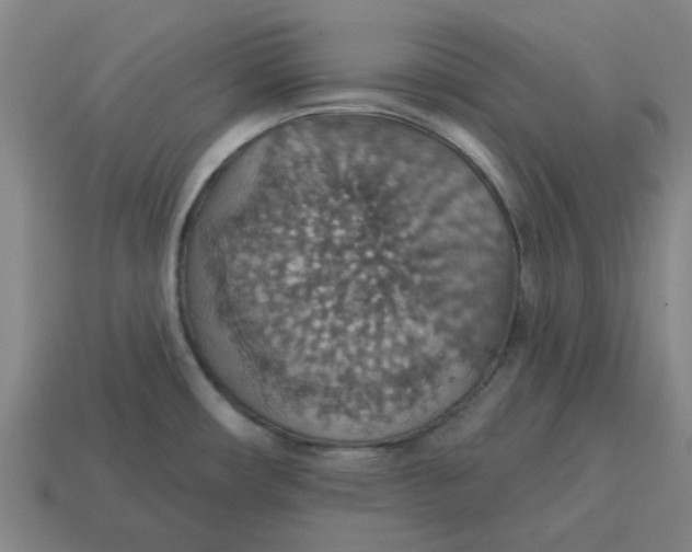 X0000114421482200911061612