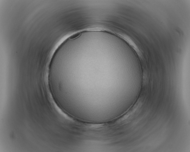 X0000114421484200911061612