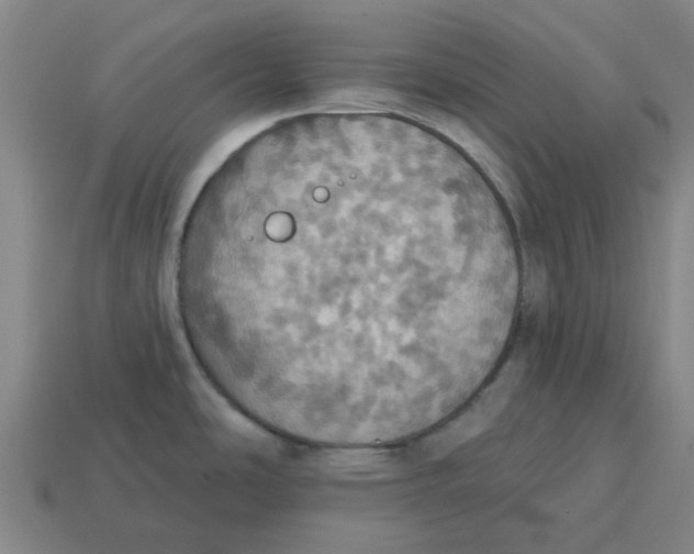 X0000114421486200911061612