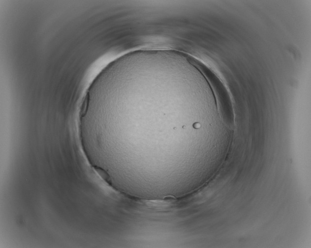 X0000114421488200911061612