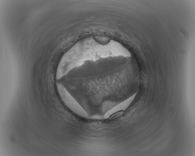 X0000114421489200911061611
