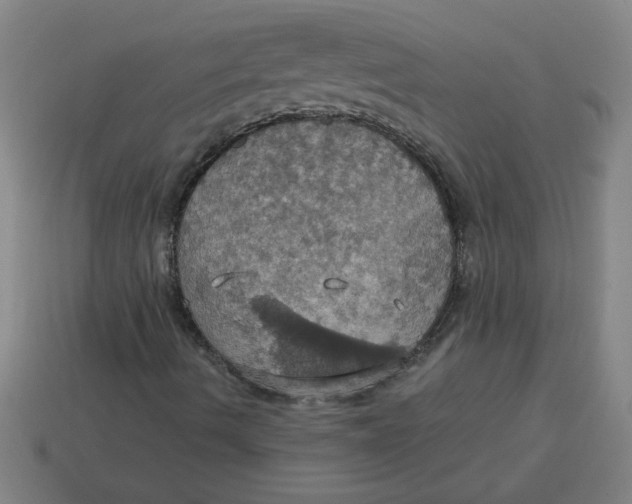 X0000114421490200911061611