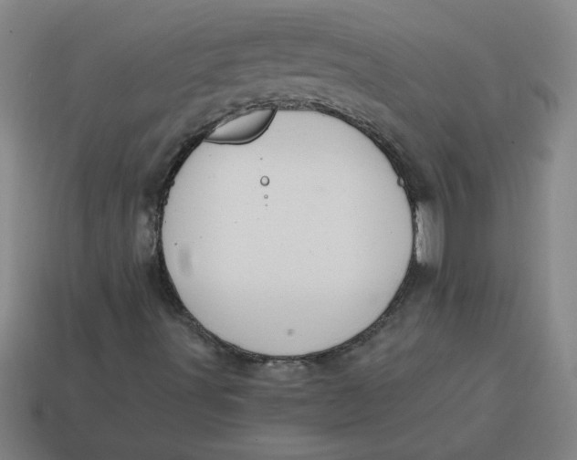 X0000114421491200911061612