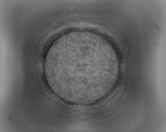 X0000114421493200911061612