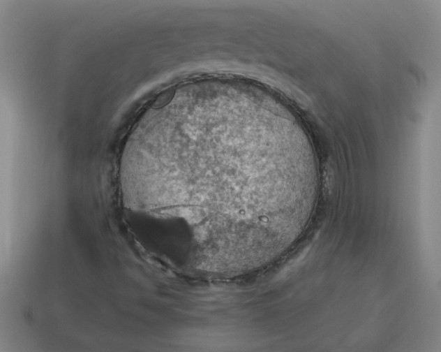 X0000114421494200911061612