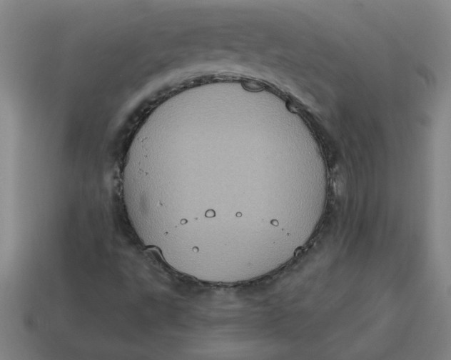 X0000114421495200911061612