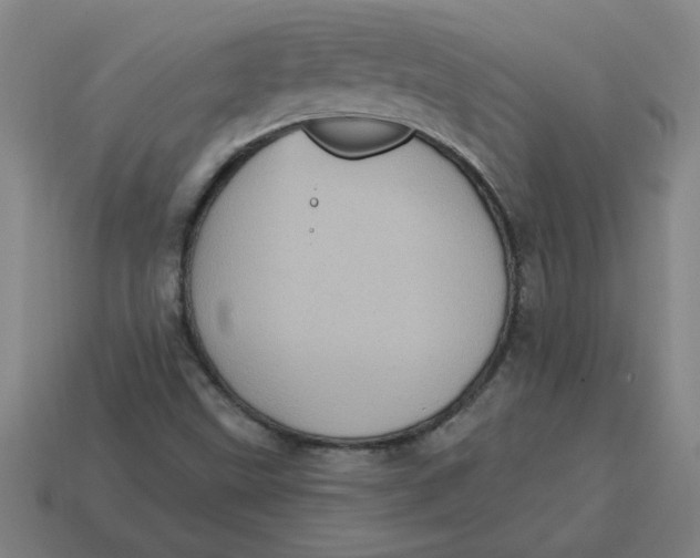 X0000114421499200911061612