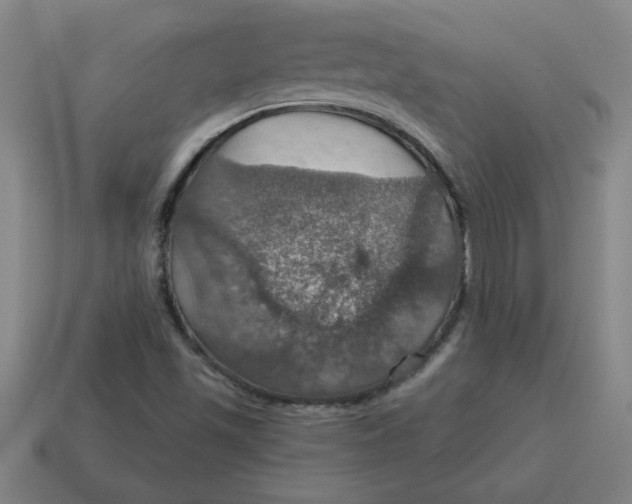 X0000114421501200911061612