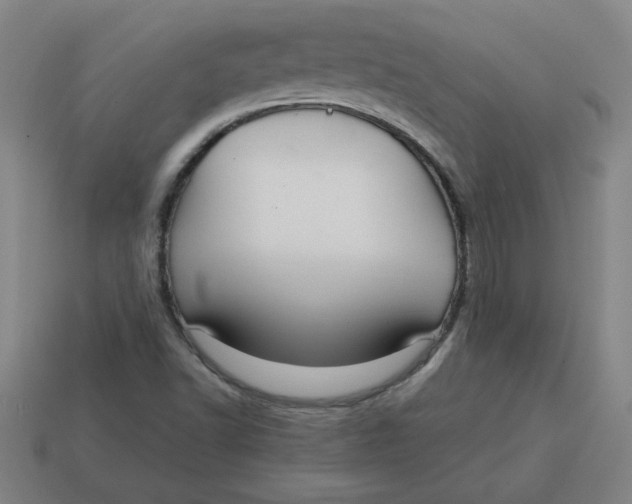 X0000114421502200911061612