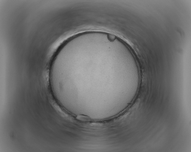 X0000114421503200911061612
