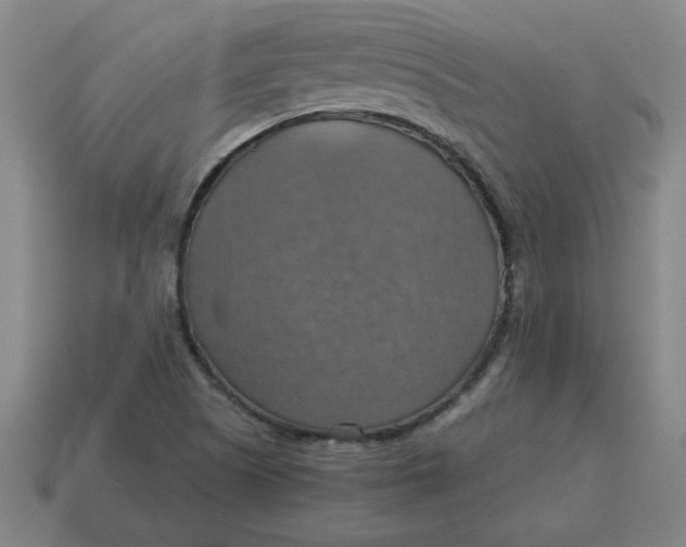 X0000114421505200911061612