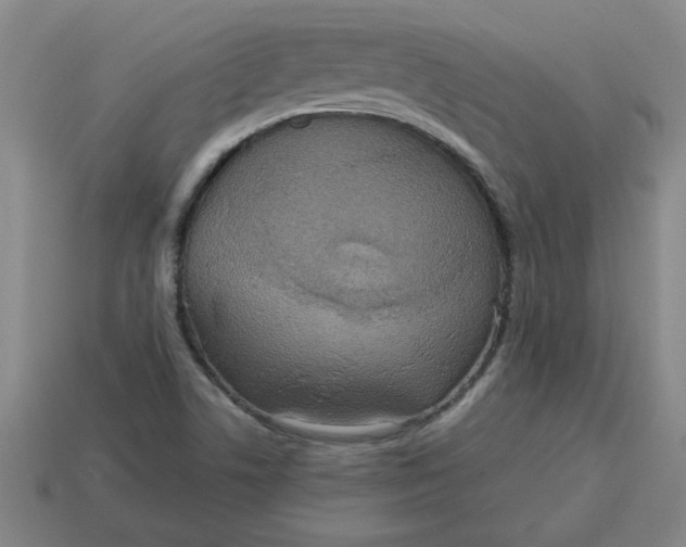 X0000114421506200911061612