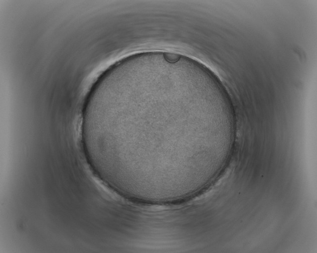 X0000114421507200911061612