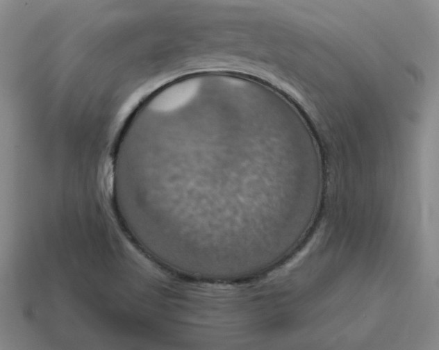 X0000114421509200911061612
