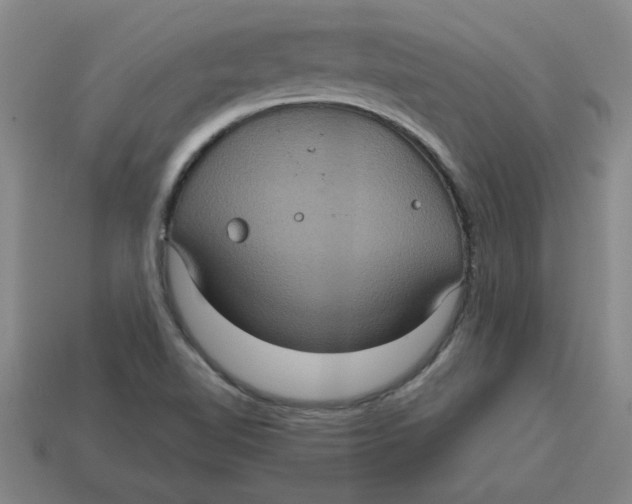 X0000114421510200911061612