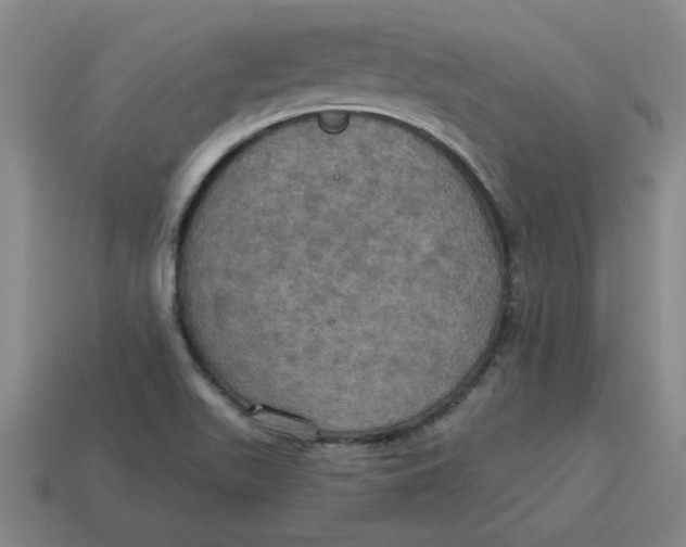X0000114421511200911061612