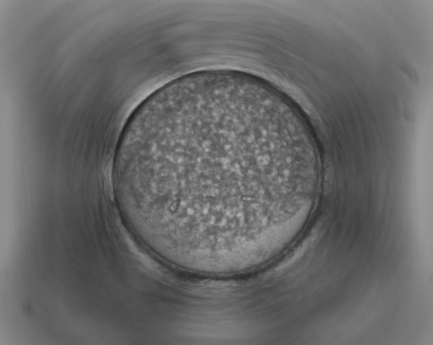 X0000114421513200911061612