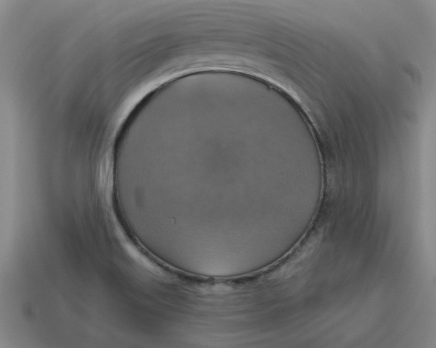 X0000114421515200911061612