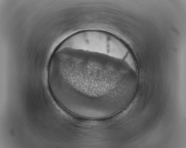 X0000114421517200911061612