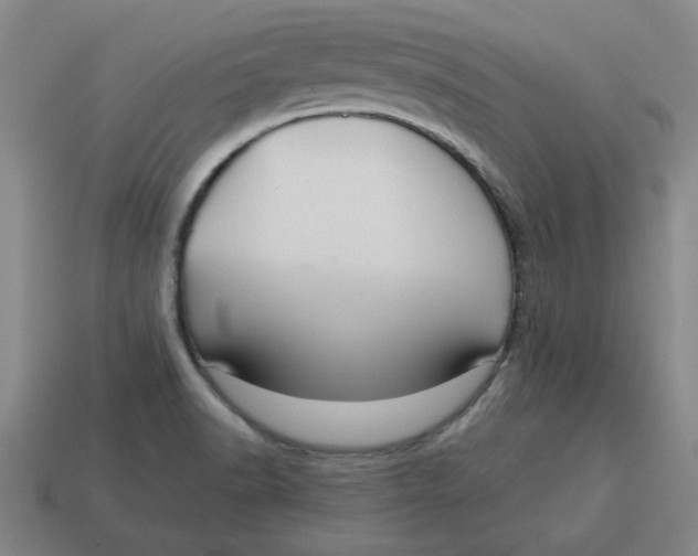 X0000114421518200911061612