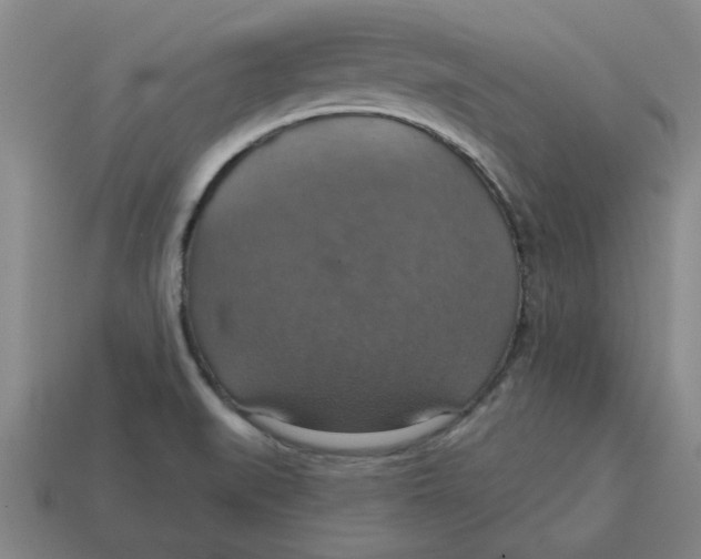 X0000114421519200911061612
