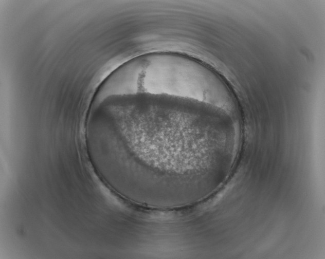 X0000114421521200911061612