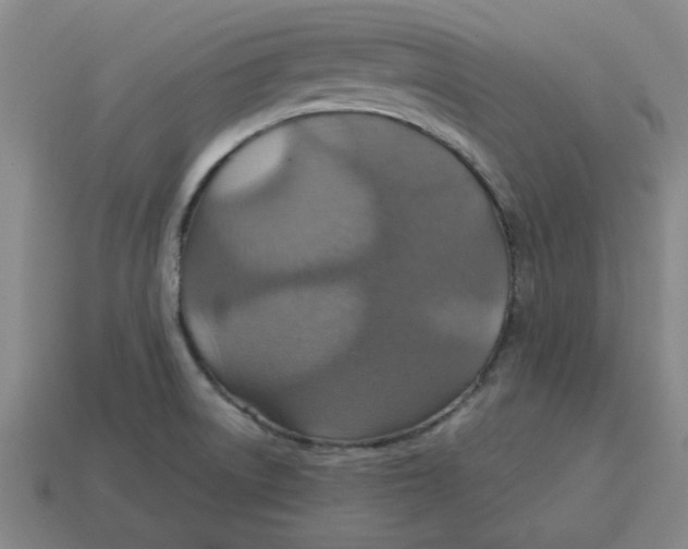 X0000114421522200911061612
