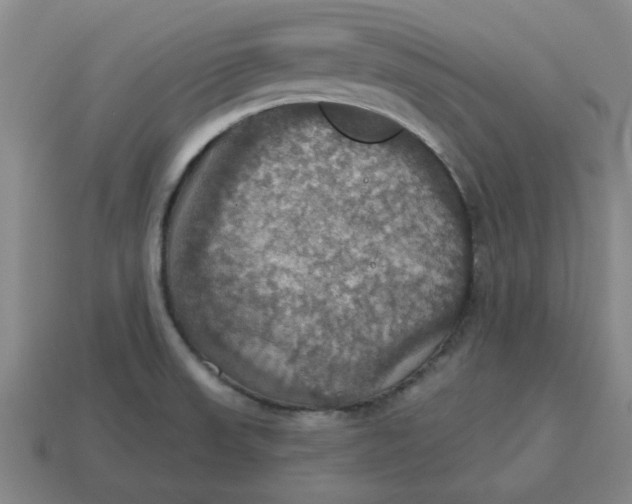 X0000114421523200911061612