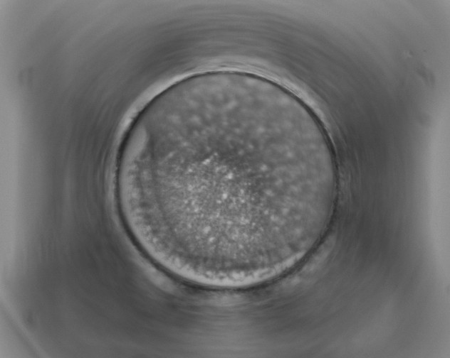 X0000114421525200911061612