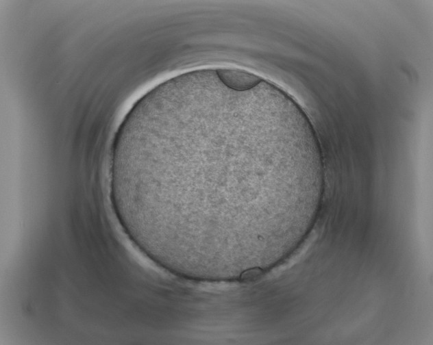 X0000114421526200911061612