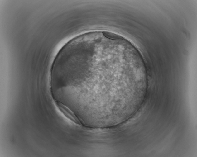 X0000114421527200911061612