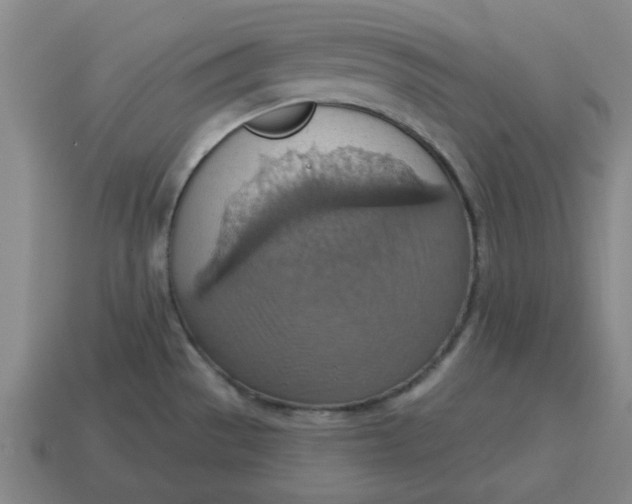 X0000114421529200911061612
