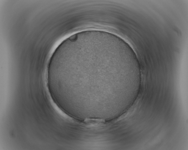 X0000114421531200911061612