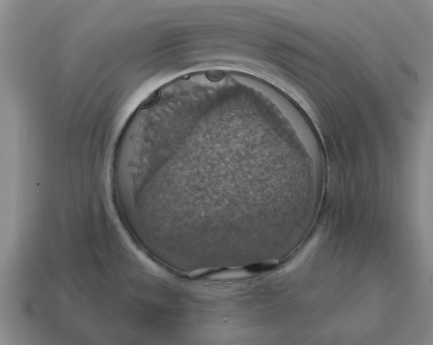 X0000114421533200911061612