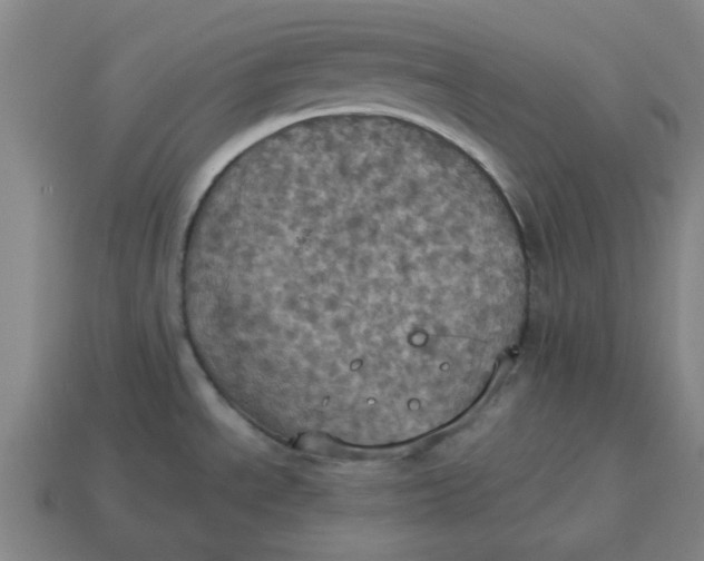 X0000114421534200911061612