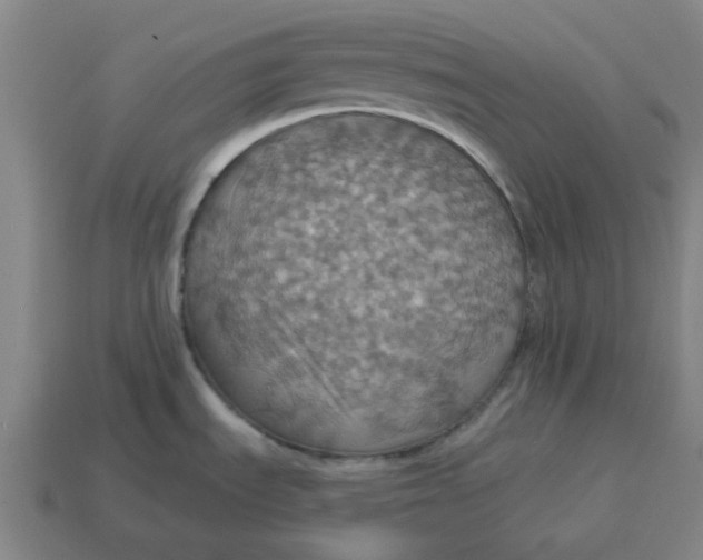 X0000114421535200911061612