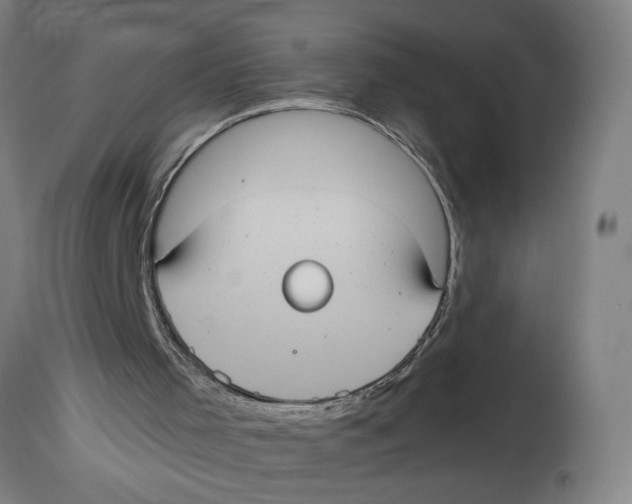 X0000114420001200911131501