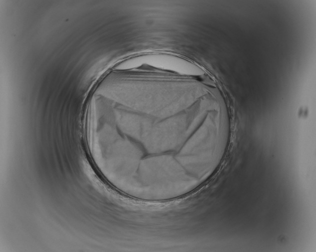 X0000114420002200911131501