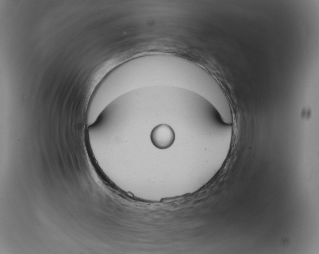 X0000114420003200911131501