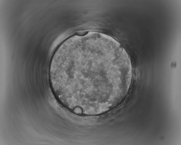 X0000114420004200911131501