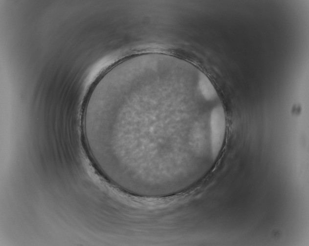 X0000114420006200911131501
