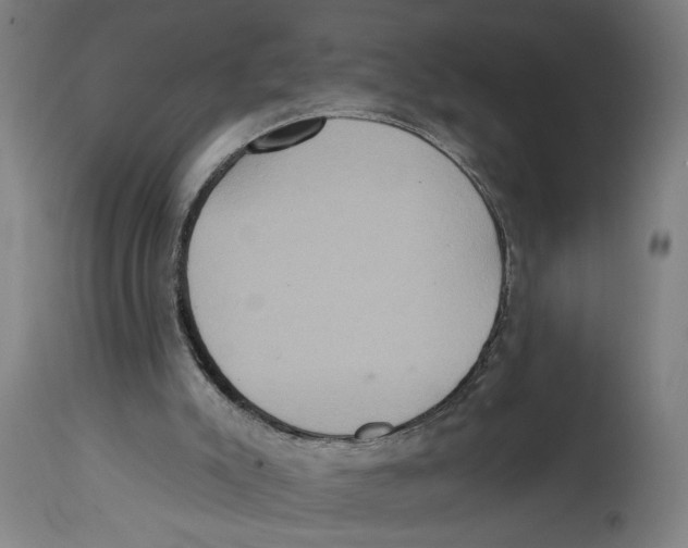 X0000114420007200911131501