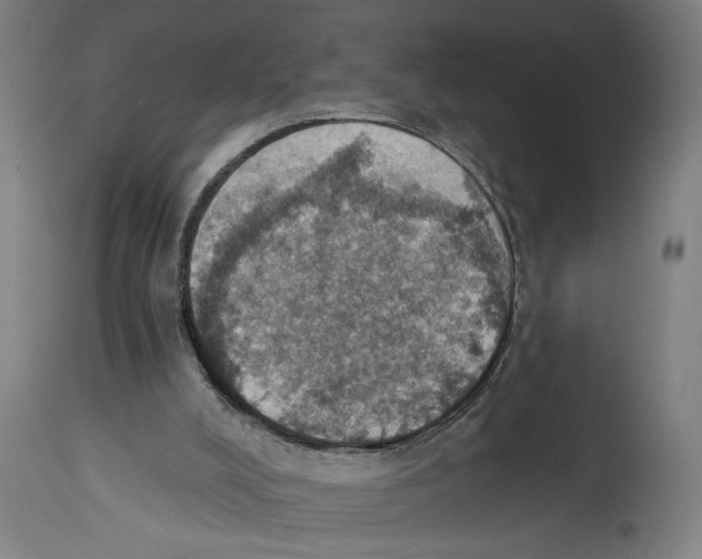 X0000114420008200911131501