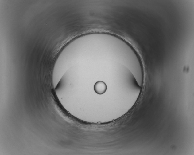 X0000114420009200911131501