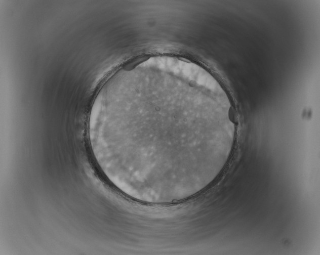 X0000114420010200911131501