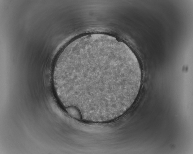 X0000114420012200911131501