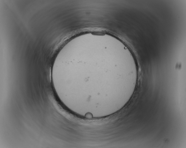 X0000114420013200911131501