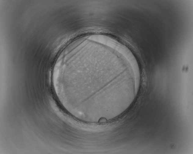 X0000114420014200911131501